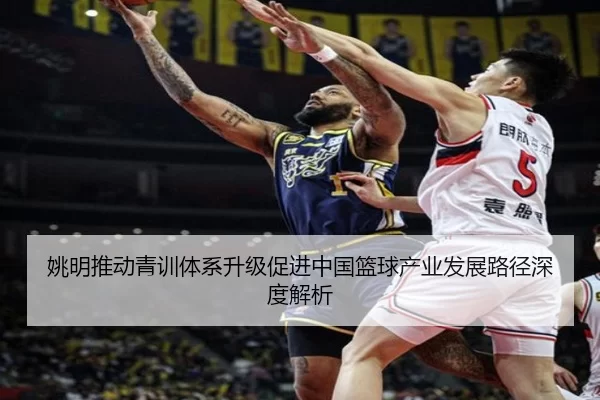姚明推动青训体系升级促进中国篮球产业发展路径深度解析